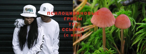эйфоретик Абинск