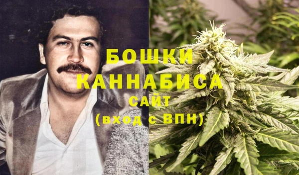 стаф Абаза