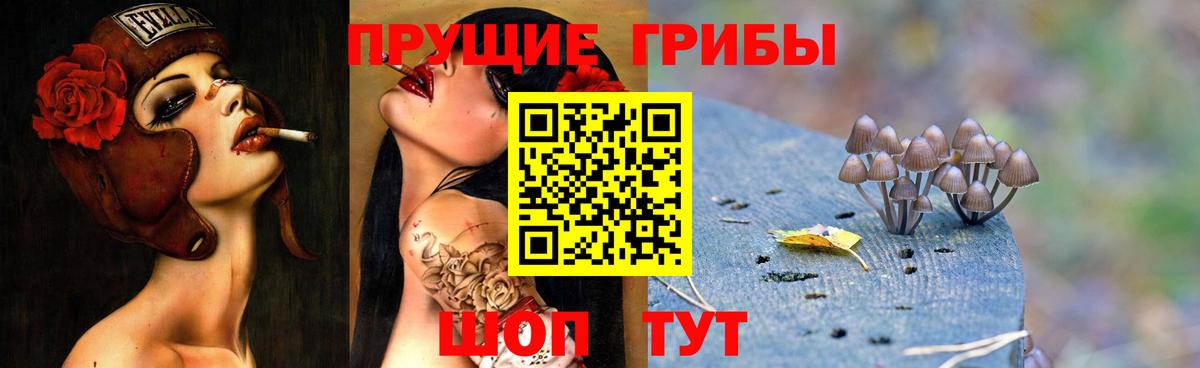 Псилоцибиновые грибы Magic Shrooms Богородицк
